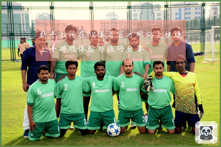 新手如何在ng体育官方网站上快速上手游戏体验与技巧分享