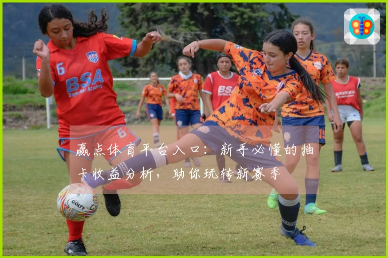 赢点体育平台入口：新手必懂的抽卡收益分析，助你玩转新赛季