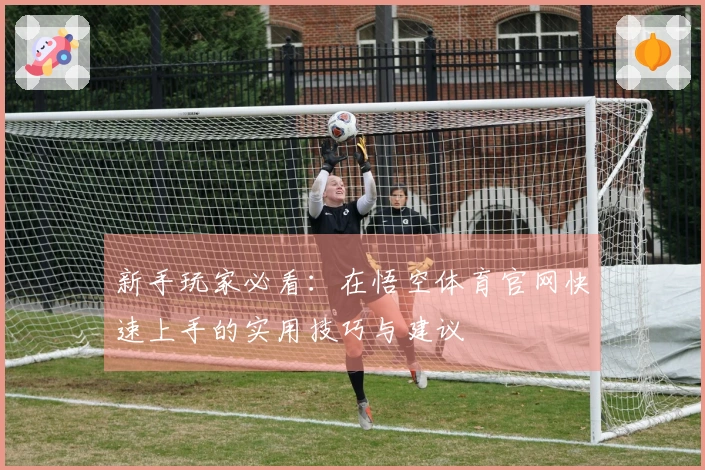 新手玩家必看：在悟空体育官网快速上手的实用技巧与建议