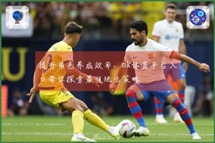 提升角色养成效率，mk体育平台入口带你探索最佳玩法策略