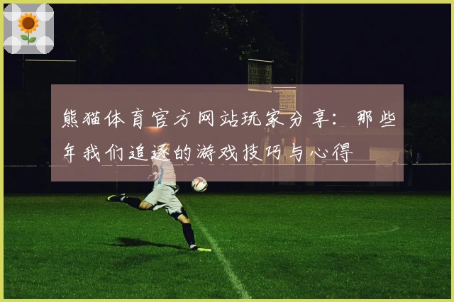 熊猫体育官方网站玩家分享：那些年我们追逐的游戏技巧与心得