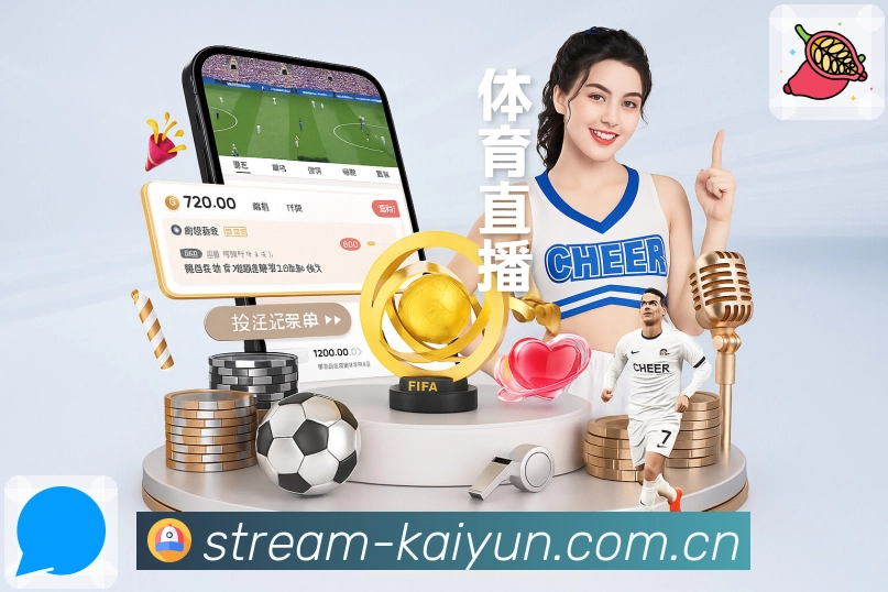 隐私保护流程示意
